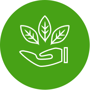 Экологические проекты