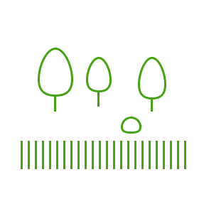 Лесопатологическое обследование