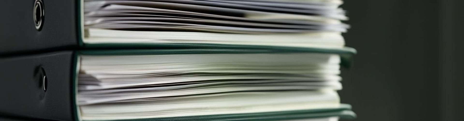 Подготовка заявлений о намечаемой деятельности (ЗОНД)